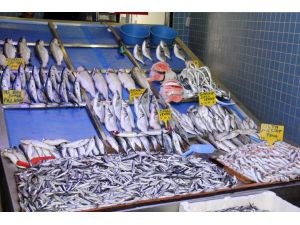 Hamsi Gitti, Balık Fiyatları Arttı