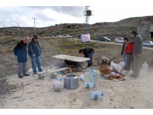 Sosyal Medya Örgütlenmesi Bu Defa Sokak Hayvanların İmdadına Yetişti