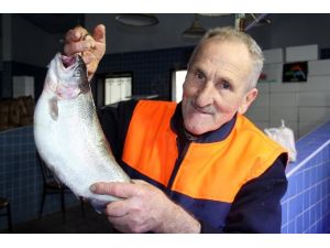 Diğer Balık Çeşitlerine Hamsi Darbesi