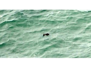 Kayıp Uçaktan Kötü Haber Geldi