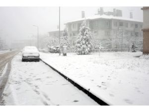 Yalova Kara Teslim