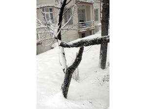 Eskişehir Kara Gömüldü