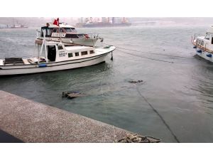Bandırma’da Fırtına Ve Kar Hayatı Felç Etti