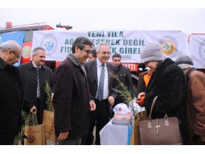 Orman Bölge Müdürlüğü Ağaç Dikmeye Teşvik Etti
