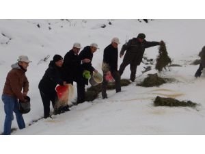 Manisa’da Yaban Hayatı Unutulmadı
