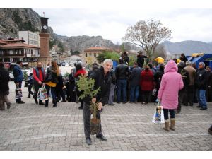 Ücretsiz Fidanlar Kapış Kapış Gitti