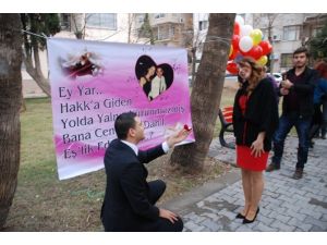 Parkta Sürpriz Evlenme Teklifi
