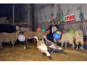 Yeni Yıla Böyle Girdi