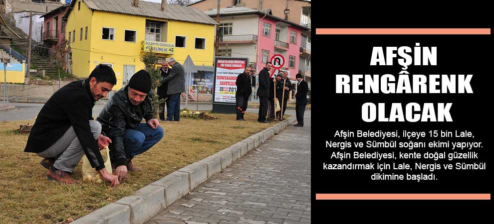 Afşin Rengârenk Olacak