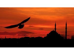 Bu Gece Mevlit Kandili