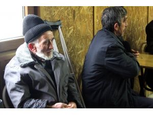 Bu Barınmaevinde 4 Dil Bilen Bile Var