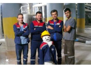 Madenciler Yeni Yıla Borkar İle Girdiler