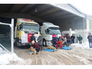 Kaleseramik Yeni Yıla Hızlı Başladı