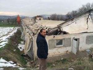 Balıkesirde Kar, Tavuk Yetiştiricilerini Vurdu