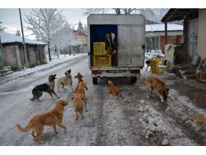 Fırıncıdan Her Gün İnsanlık Dersi