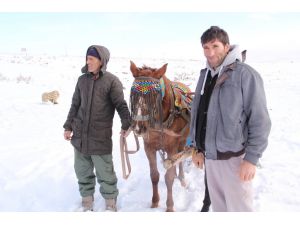 (Özel Haber) Donmayan Gölde Atlı Kızak Keyfi Başladı