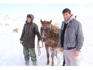Donmayan Gölde Kızak Keyfi