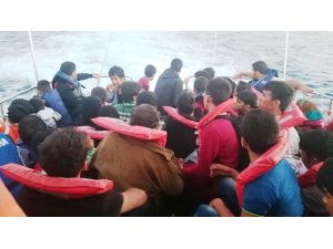 2014’ün Korkunç Bilançosu