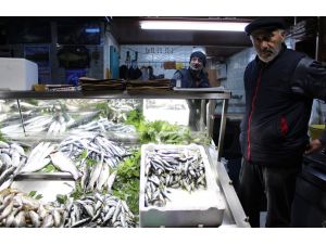 Balık Fiyatları Yükselişini Sürdürdü