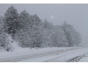 Ilgaz Dağında, Kar Yağışı Başladı
