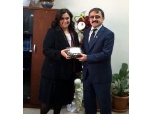 Parlayan Yıldız Gaün