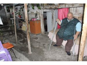 250 Kiloluluk Adama Ceza Şoku