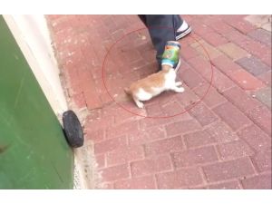 Bunu Yapan İnsan Olabilir Mi !