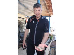 Hereklioğlu: Dünyadaki İlk Organ Nakli Yumurtalıkta Yapıldı