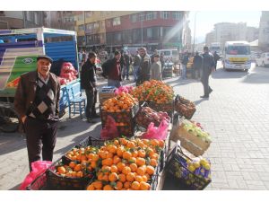 Iğdır’da Yalancı Bahar