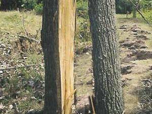 Nerede deprem olacak biliyoruz, lakin zamanı ancak Allah bilir!