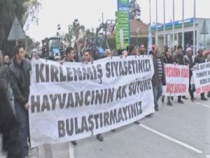 Maliye Bakanlığı Önünde Sütlü Eylem