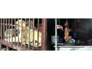 Günün En İğrenç Haberi !