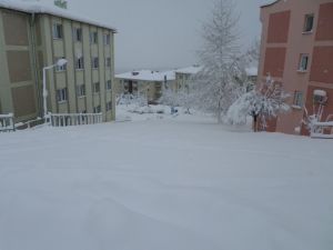 Sakarya’da Kar Yağışı Devam Ediyor