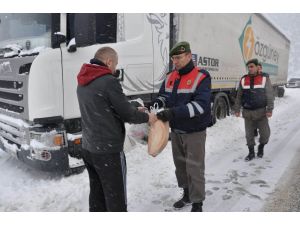 Yolda Kalan Tır Şoförlerinin Yardımına Jandarma Yetişti