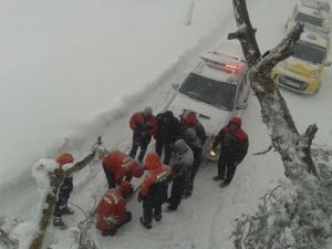 Devrilen Ağaçlar Uludağ Yolunu Trafiğe Kapattı