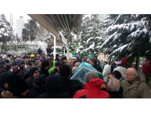 Ayla Gürses Son Yolculuğuna Uğurlandı