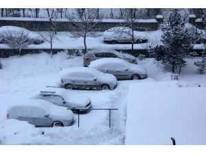 Doğu’da Yağan 1,5 Metre Kar Hayatı Felç Etti