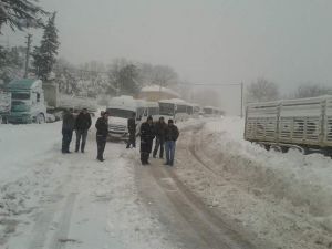 Dağ Yolunda Kar Çilesi