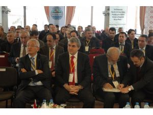 Dokaptan Arı Ürünlerinin Türkiye Ve Dünyadaki Yeri Ve Önemi Konferansı