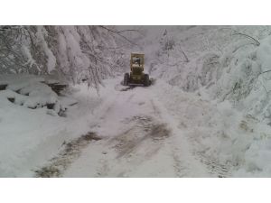 Ordu’da Kar 1 Metre