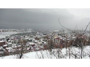Doğu Buz Kesti