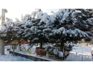 Bartında Çocukların Kar Keyfi