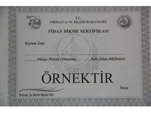 Plaket Hatıra Ormanı, Hediye Fidanları Bekliyor