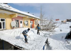 Sincikte Don Ve Tipi Hayatı Olumsuz Etkiliyor