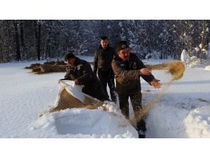 Yaban Hayvanları İçin Yem Bırakıldı