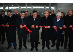 Zeytin Sevgisi Türkiye’nin En Modern Kompleksini Yaptırdı