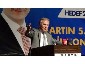 Ak Parti Genel Başkan Yardımcısı Mehmet Ali Şahin: