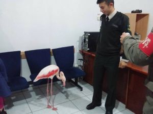Soğuklar Karakola Düşürdü