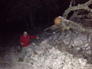Uludağ’da Ağaçlar Devrildi, Yol Kapandı