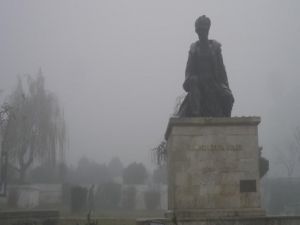 Göz Gözü Görmüyor